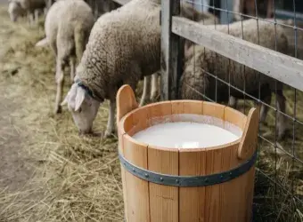 Οδηγίες για τη διαχείριση γάλακτος στη Λέσβο λόγω μέτρων δημόσιας υγείας